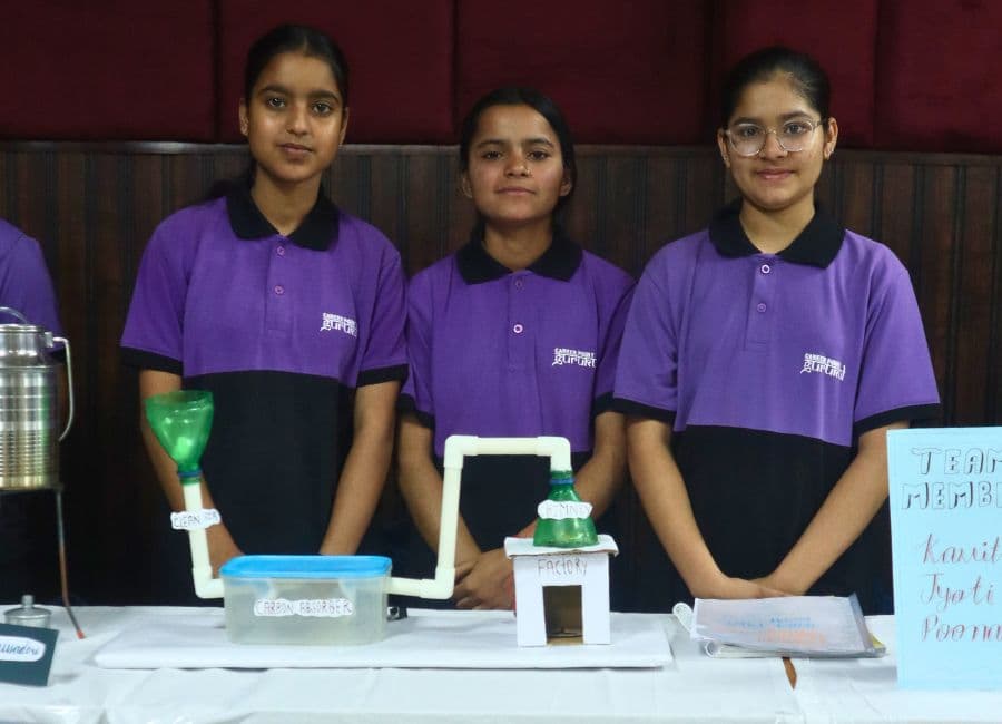 Carbon Purification model