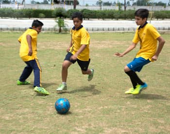 football ground