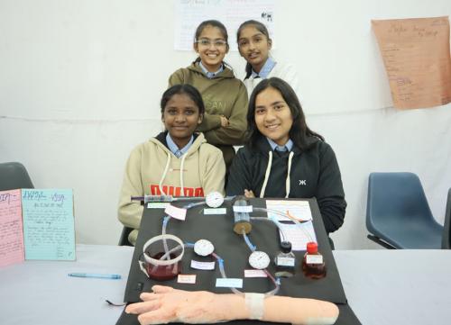Haemodialysis