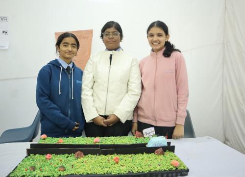 Model of Maglev train